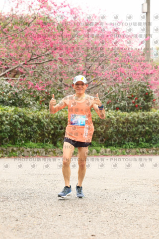 2026左岸竹東櫻花馬拉松Zhudong Sakura Marathon