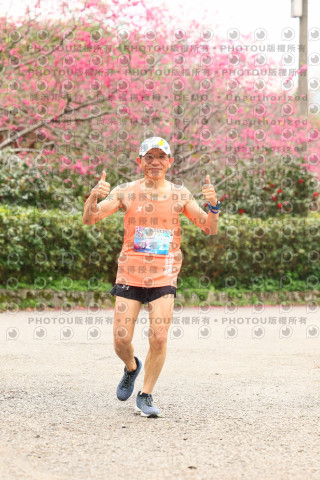 2026左岸竹東櫻花馬拉松Zhudong Sakura Marathon
