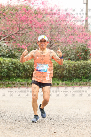 2026左岸竹東櫻花馬拉松Zhudong Sakura Marathon