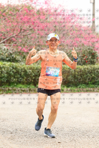 2026左岸竹東櫻花馬拉松Zhudong Sakura Marathon