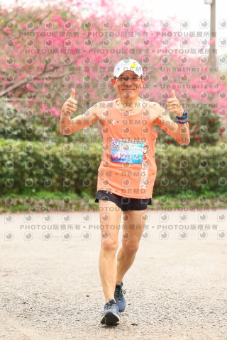 2026左岸竹東櫻花馬拉松Zhudong Sakura Marathon