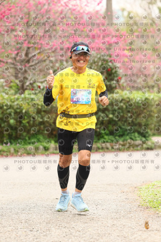 2026左岸竹東櫻花馬拉松Zhudong Sakura Marathon