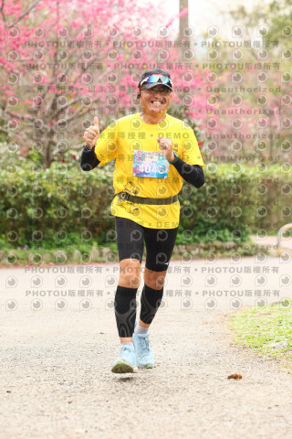 2026左岸竹東櫻花馬拉松Zhudong Sakura Marathon