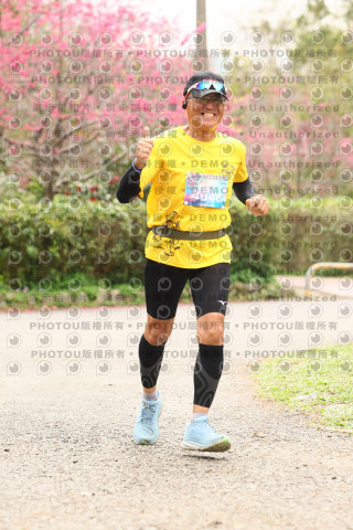 2026左岸竹東櫻花馬拉松Zhudong Sakura Marathon