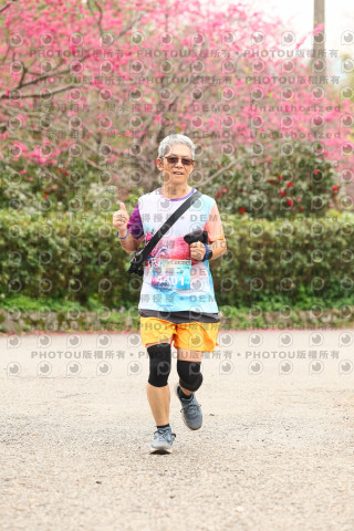 2026左岸竹東櫻花馬拉松Zhudong Sakura Marathon