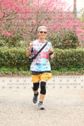 2026左岸竹東櫻花馬拉松Zhudong Sakura Marathon