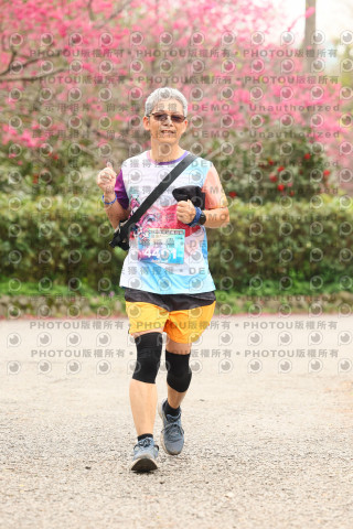 2026左岸竹東櫻花馬拉松Zhudong Sakura Marathon