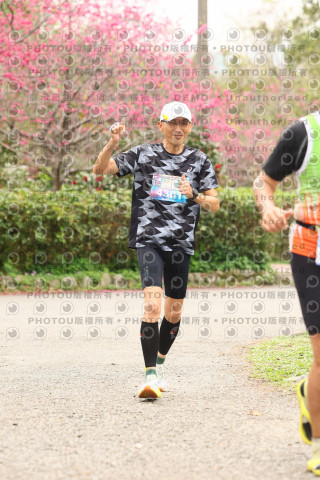 2026左岸竹東櫻花馬拉松Zhudong Sakura Marathon