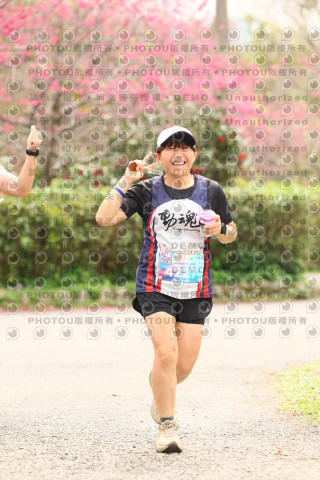 2026左岸竹東櫻花馬拉松Zhudong Sakura Marathon