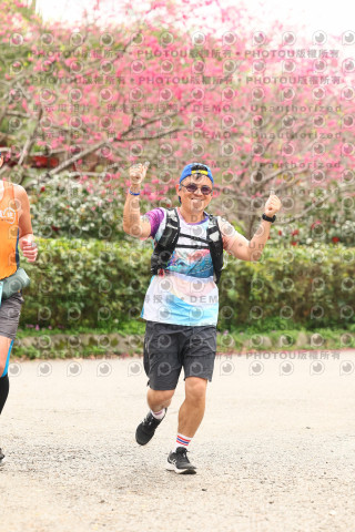 2026左岸竹東櫻花馬拉松Zhudong Sakura Marathon