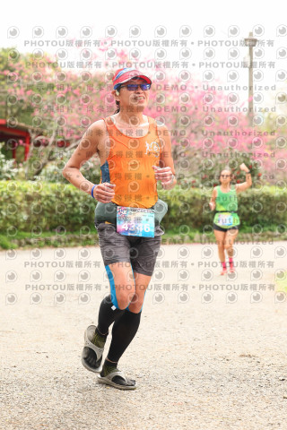 2026左岸竹東櫻花馬拉松Zhudong Sakura Marathon