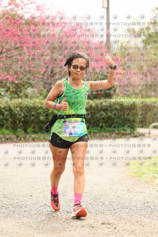 2026左岸竹東櫻花馬拉松Zhudong Sakura Marathon
