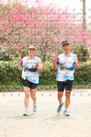 2026左岸竹東櫻花馬拉松Zhudong Sakura Marathon