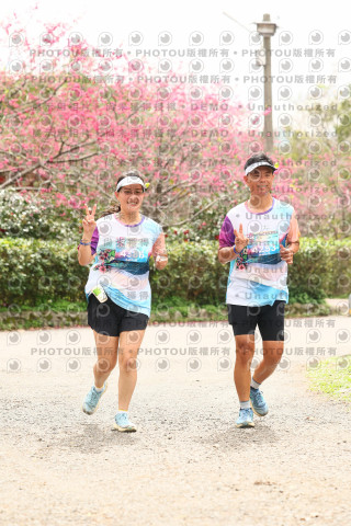 2026左岸竹東櫻花馬拉松Zhudong Sakura Marathon