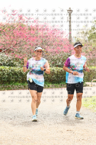 2026左岸竹東櫻花馬拉松Zhudong Sakura Marathon
