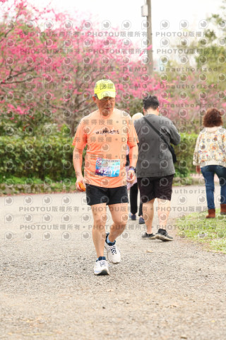 2026左岸竹東櫻花馬拉松Zhudong Sakura Marathon