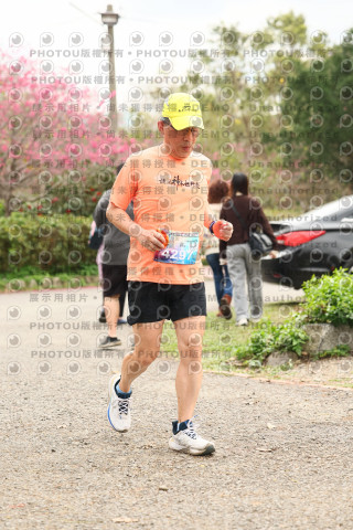 2026左岸竹東櫻花馬拉松Zhudong Sakura Marathon