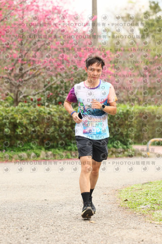 2026左岸竹東櫻花馬拉松Zhudong Sakura Marathon