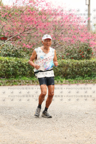 2026左岸竹東櫻花馬拉松Zhudong Sakura Marathon