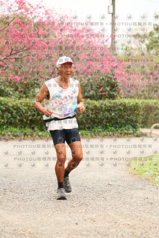 2026左岸竹東櫻花馬拉松Zhudong Sakura Marathon