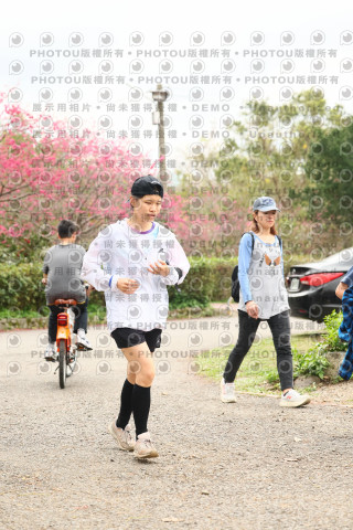 2026左岸竹東櫻花馬拉松Zhudong Sakura Marathon