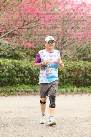 2026左岸竹東櫻花馬拉松Zhudong Sakura Marathon