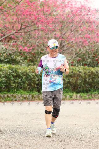 2026左岸竹東櫻花馬拉松Zhudong Sakura Marathon