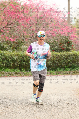 2026左岸竹東櫻花馬拉松Zhudong Sakura Marathon