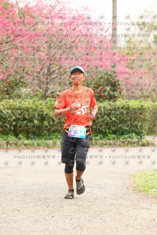 2026左岸竹東櫻花馬拉松Zhudong Sakura Marathon