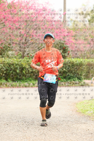 2026左岸竹東櫻花馬拉松Zhudong Sakura Marathon