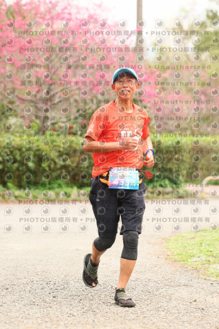 2026左岸竹東櫻花馬拉松Zhudong Sakura Marathon