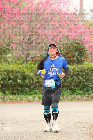 2026左岸竹東櫻花馬拉松Zhudong Sakura Marathon
