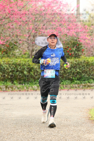 2026左岸竹東櫻花馬拉松Zhudong Sakura Marathon