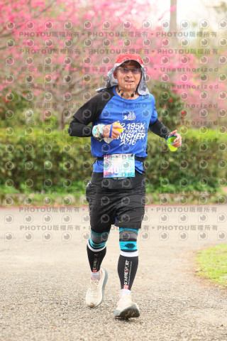 2026左岸竹東櫻花馬拉松Zhudong Sakura Marathon