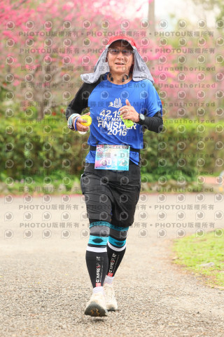 2026左岸竹東櫻花馬拉松Zhudong Sakura Marathon