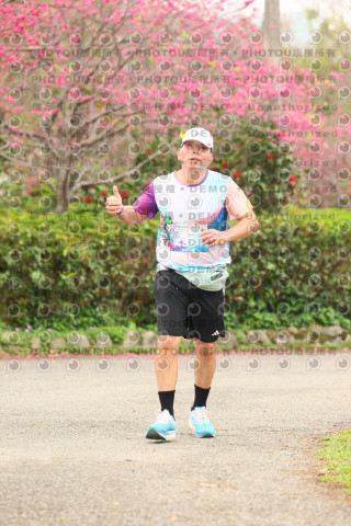 2026左岸竹東櫻花馬拉松Zhudong Sakura Marathon