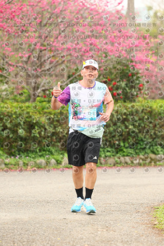 2026左岸竹東櫻花馬拉松Zhudong Sakura Marathon