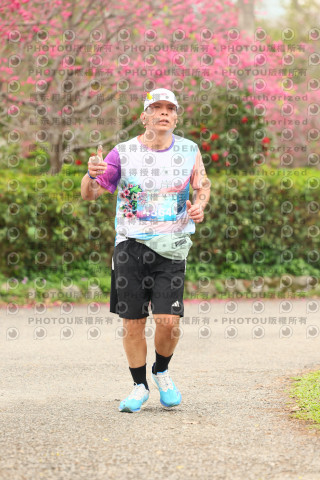 2026左岸竹東櫻花馬拉松Zhudong Sakura Marathon