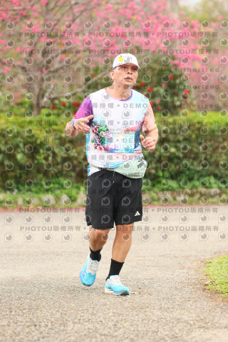 2026左岸竹東櫻花馬拉松Zhudong Sakura Marathon