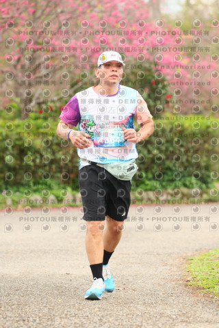 2026左岸竹東櫻花馬拉松Zhudong Sakura Marathon