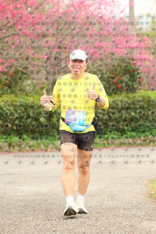 2026左岸竹東櫻花馬拉松Zhudong Sakura Marathon