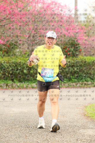 2026左岸竹東櫻花馬拉松Zhudong Sakura Marathon