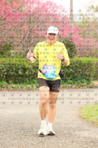 2026左岸竹東櫻花馬拉松Zhudong Sakura Marathon